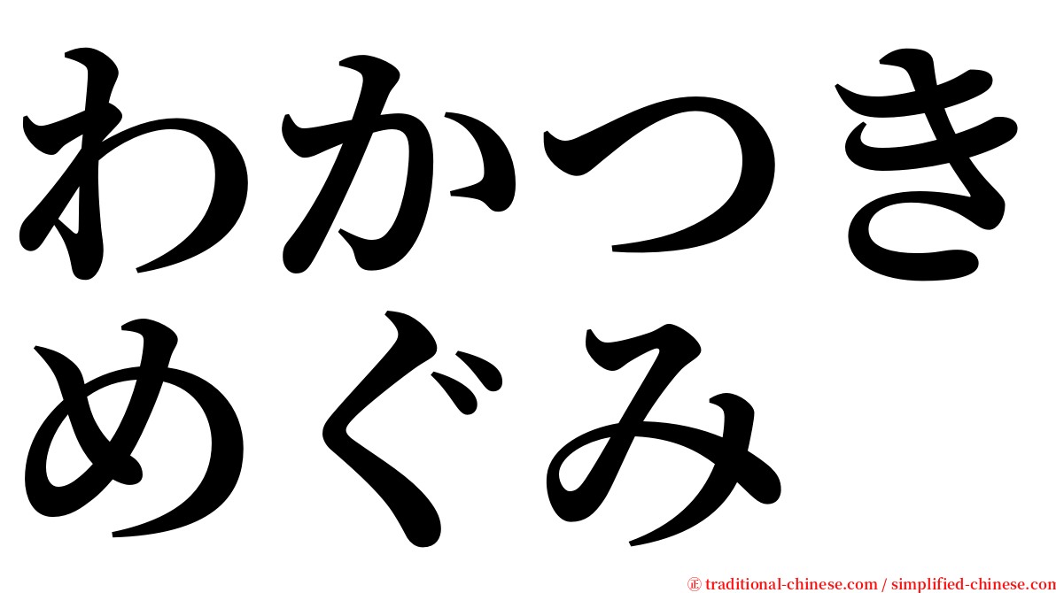 わかつきめぐみ serif font