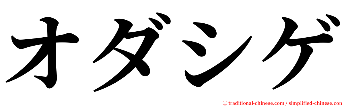 オダシゲ serif font