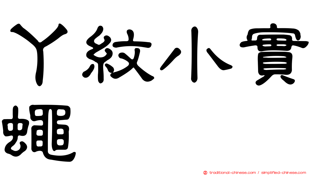 ㄚ紋小實蠅