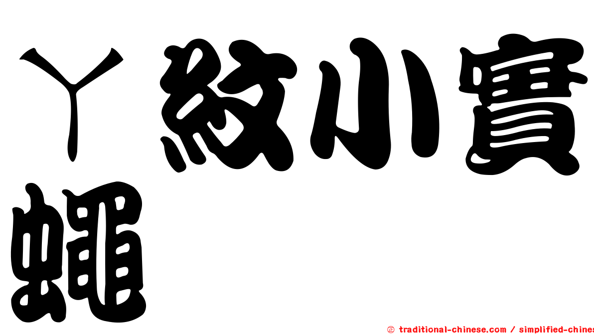 ㄚ紋小實蠅