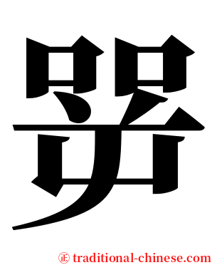 㖾 serif font