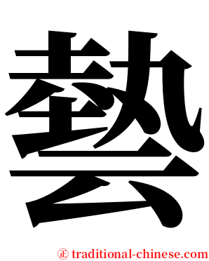 㙯 serif font