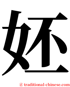 㚰 serif font