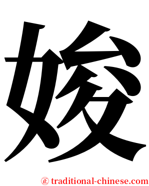 㛖 serif font