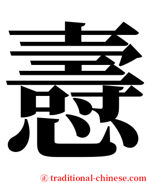 㦞 serif font