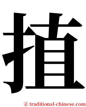 㨁 serif font