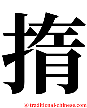 㨊 serif font