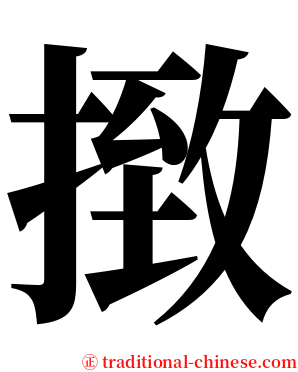 㨖 serif font