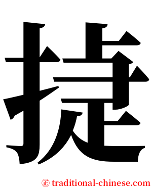 㨗 serif font