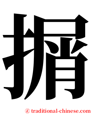 㨝 serif font