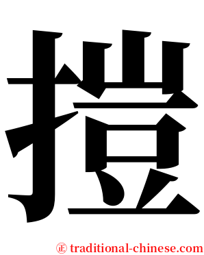 㨟 serif font