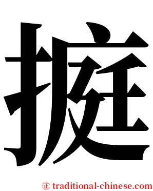 㨩 serif font