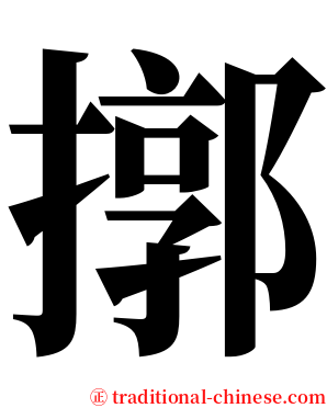 㨯 serif font