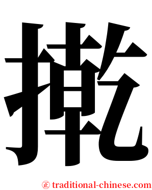 㨴 serif font