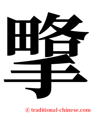 㨼 serif font