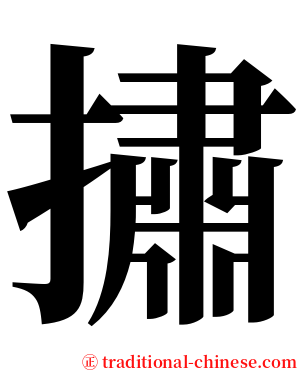 㩋 serif font