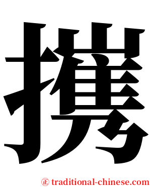 㩗 serif font
