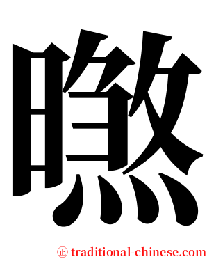 㬠 serif font