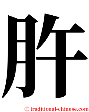 㬳 serif font