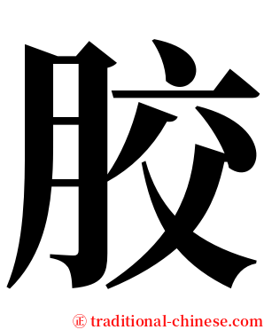 㬵 serif font