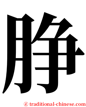 㬹 serif font