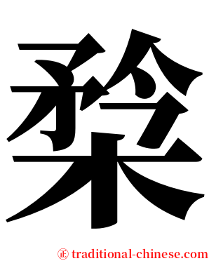 㮗 serif font