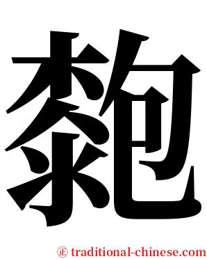 㯡 serif font