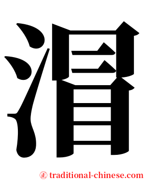 㴘 serif font