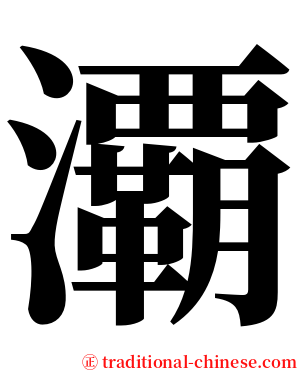 㶚 serif font