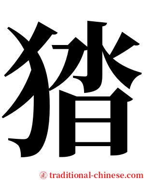 㹺 serif font