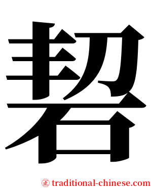 䂮 serif font