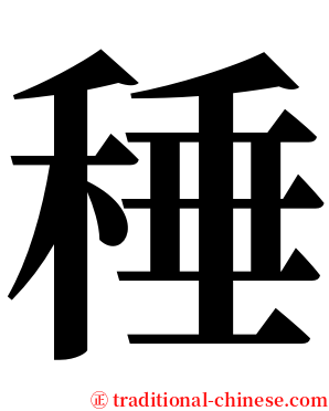 䅜 serif font