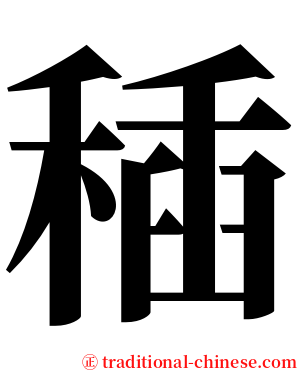 䅤 serif font