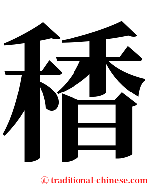 䅨 serif font