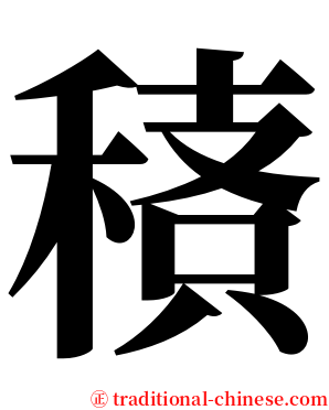 䅩 serif font