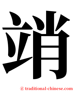 䇌 serif font