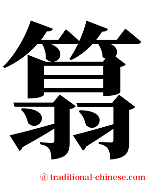 䈳 serif font