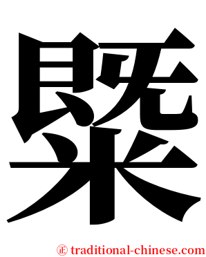 䊠 serif font