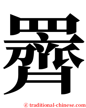 䍤 serif font
