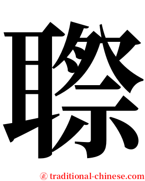 䏅 serif font