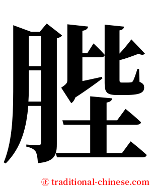䏶 serif font