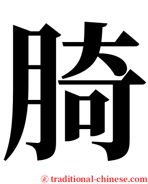 䐀 serif font