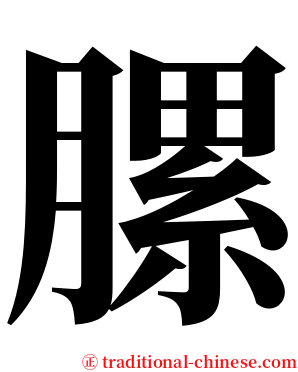 䐯 serif font