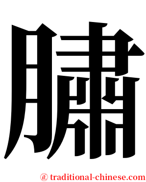 䐹 serif font