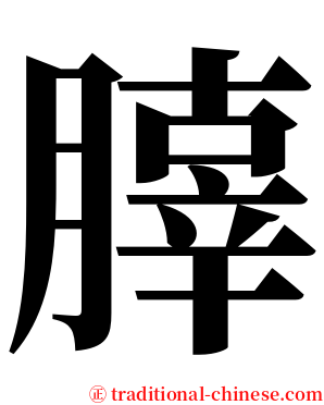䐻 serif font
