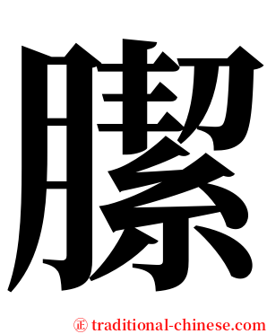 䐼 serif font