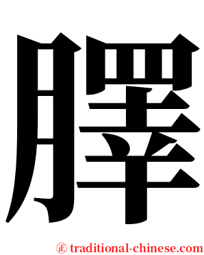 䐾 serif font