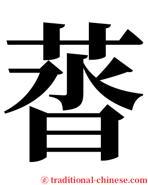 䓠 serif font