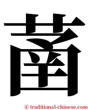 䓿 serif font