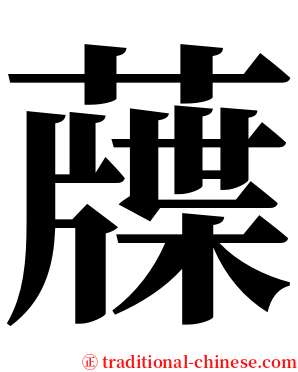䕈 serif font